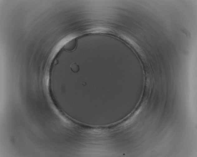 X0000113551418200910161424