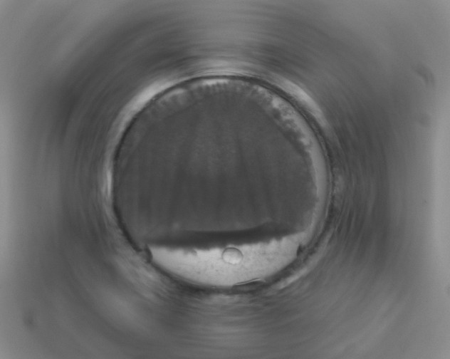 X0000113551419200910161424