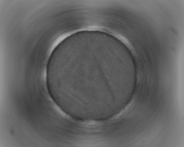 X0000113551420200910161424