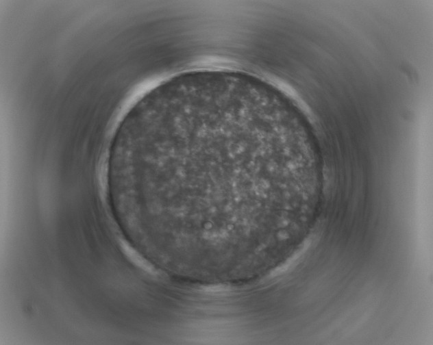 X0000113551421200910161424