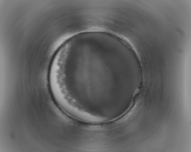 X0000113551422200910161424