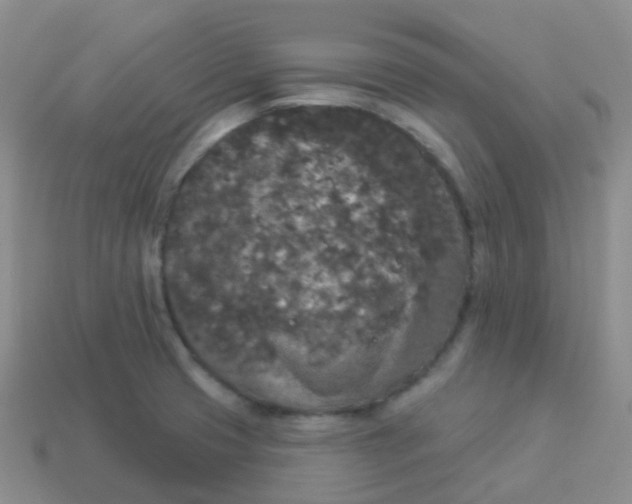 X0000113551425200910161424