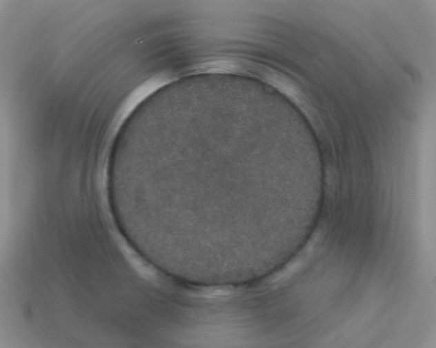 X0000113551426200910161424