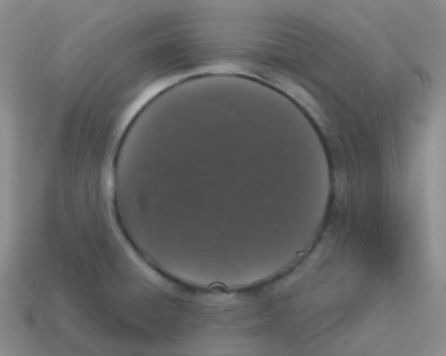 X0000113551428200910161424
