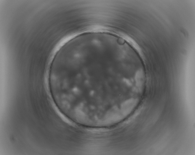 X0000113551429200910161424