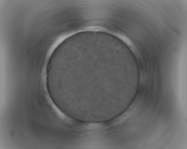 X0000113551430200910161424