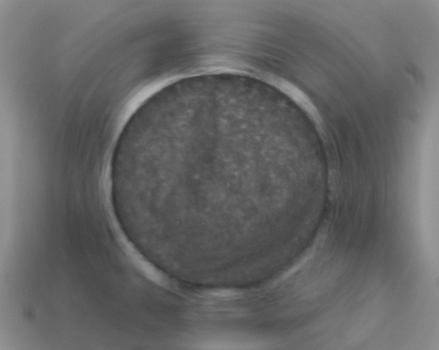 X0000113551431200910161424