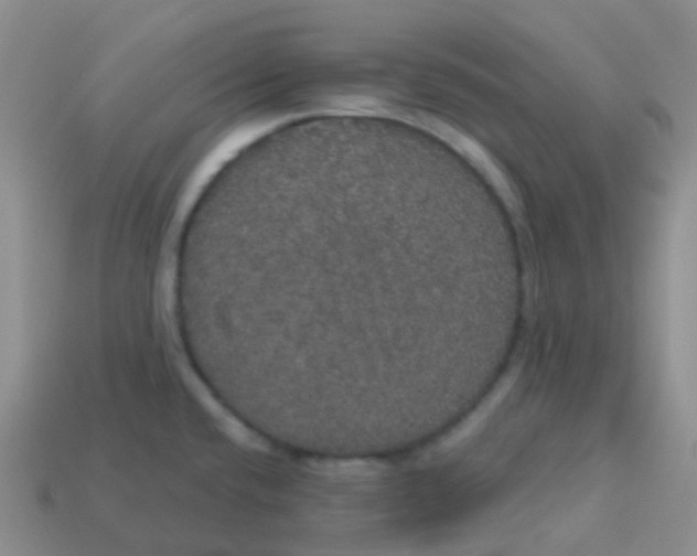 X0000113551432200910161424