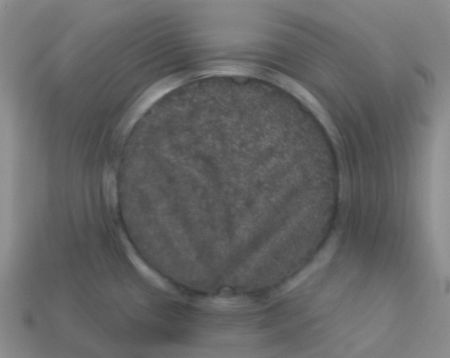 X0000113551433200910161424