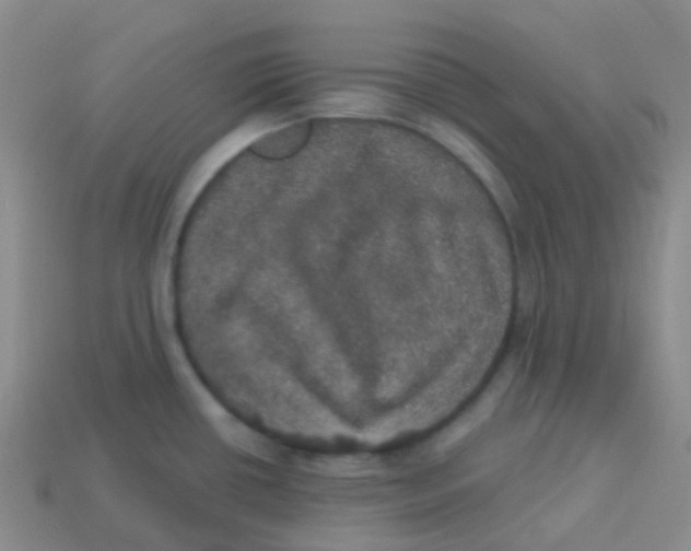 X0000113551434200910161424