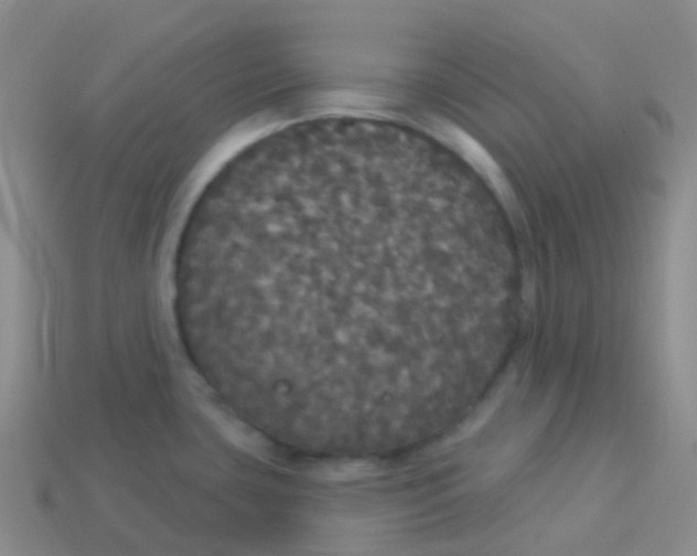 X0000113551435200910161424