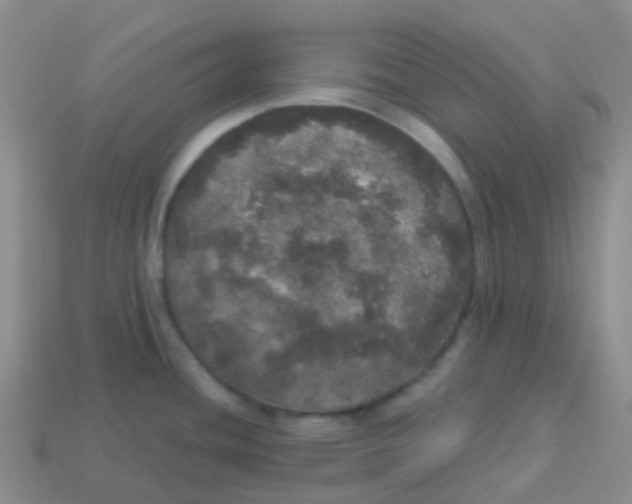 X0000113551436200910161424