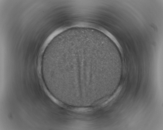X0000113551437200910161424