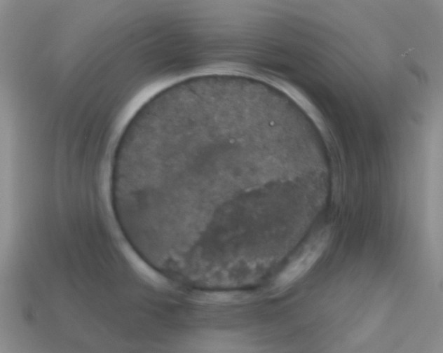 X0000113551438200910161424