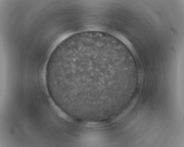 X0000113551439200910161424