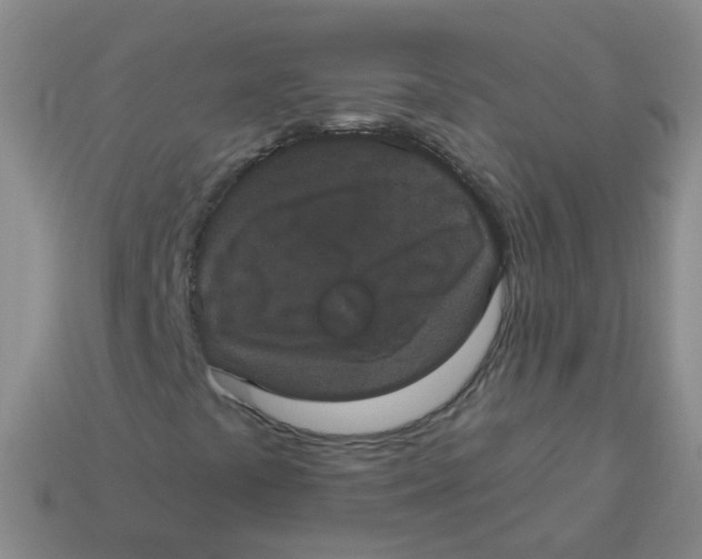 X0000113551441200910161424