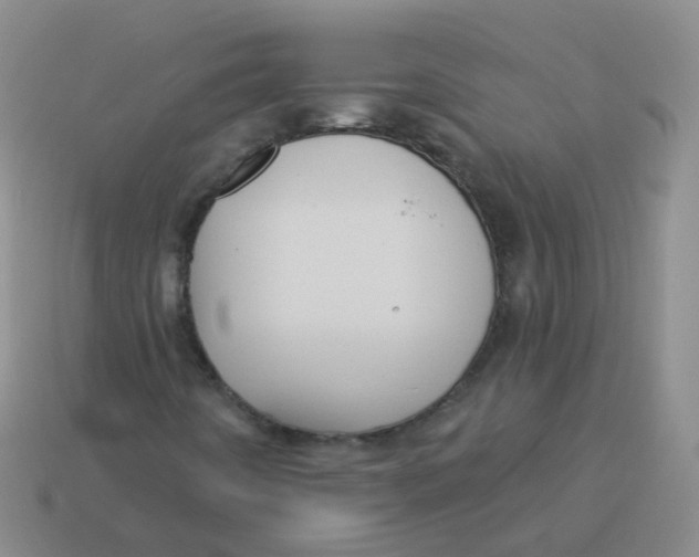 X0000113551442200910161424
