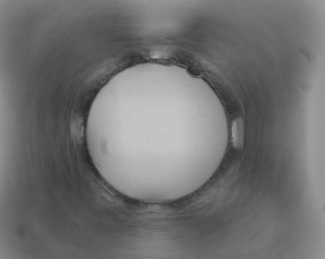 X0000113551443200910161424