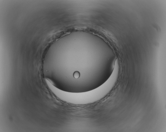 X0000113551445200910161424