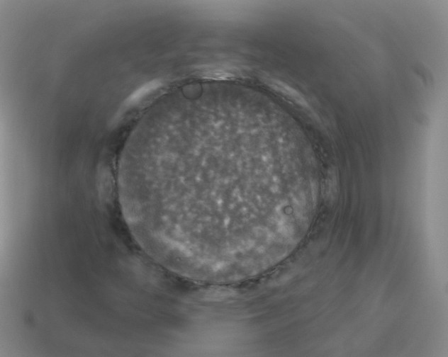 X0000113551446200910161424