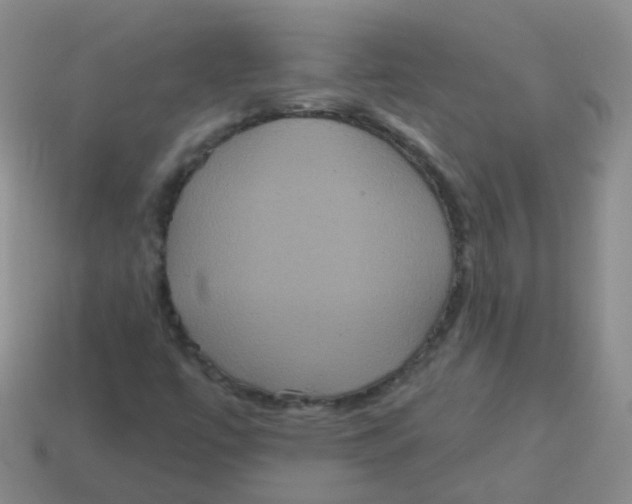 X0000113551447200910161424