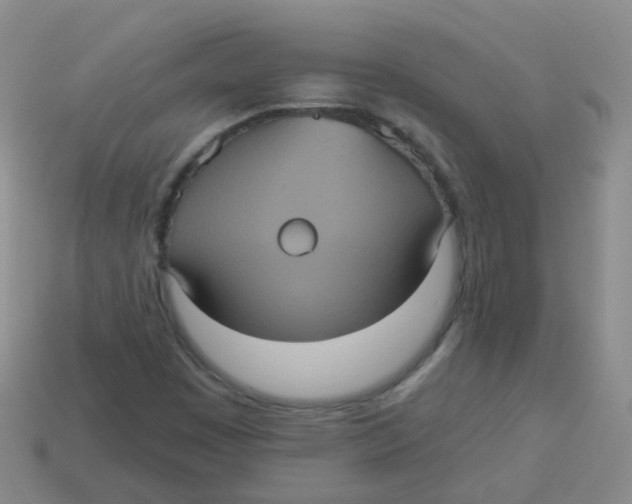 X0000113551449200910161424