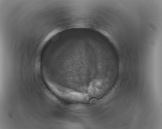 X0000113551450200910161424