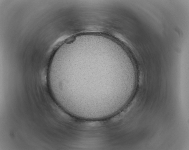X0000113551451200910161424