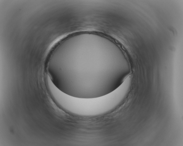 X0000113551452200910161424
