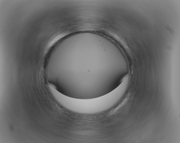 X0000113551453200910161424