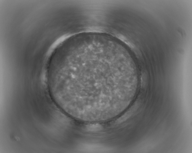 X0000113551454200910161424