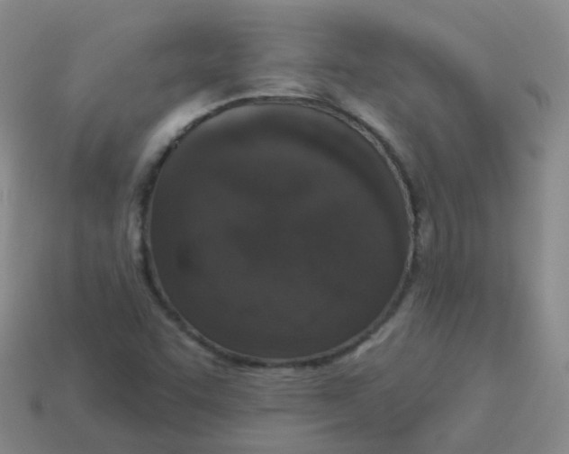 X0000113551455200910161424
