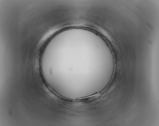 X0000113551456200910161424