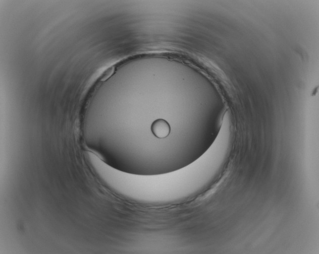 X0000113551457200910161423