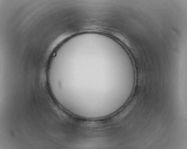 X0000113551458200910161423