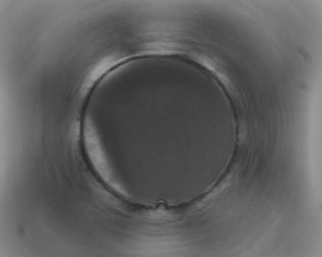 X0000113551459200910161423
