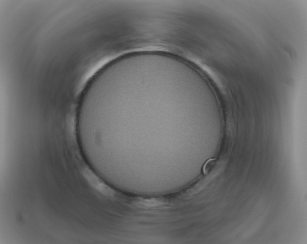 X0000113551460200910161423