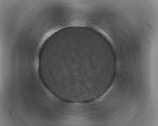 X0000113551461200910161423