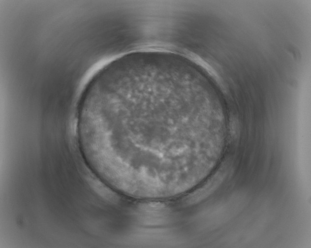 X0000113551462200910161423
