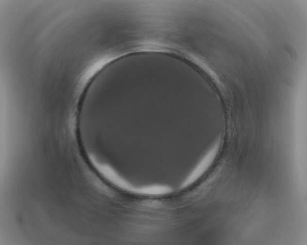 X0000113551463200910161423