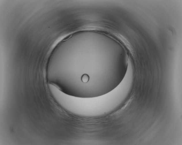X0000113551465200910161423