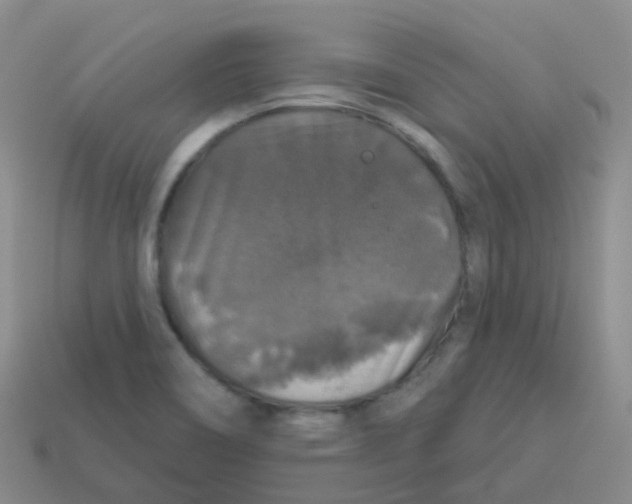 X0000113551466200910161423
