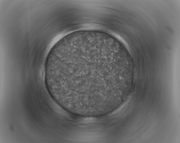 X0000113551467200910161423