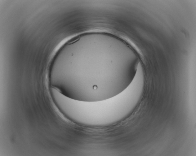 X0000113551468200910161423