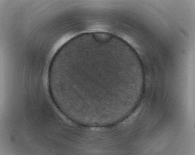 X0000113551469200910161423