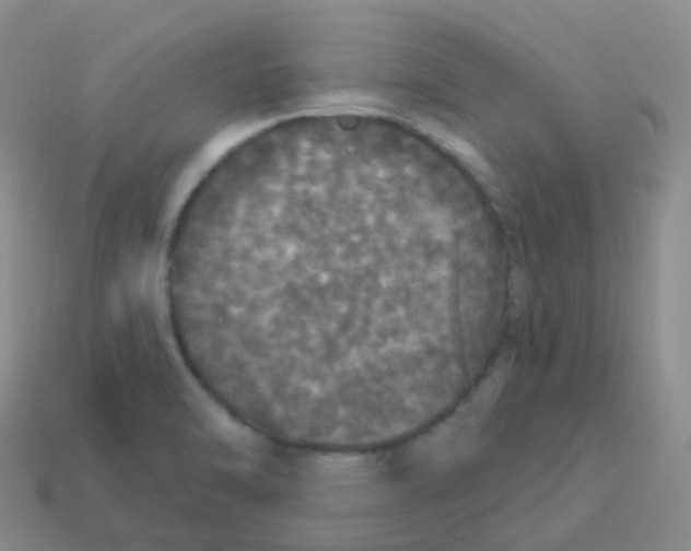 X0000113551470200910161423
