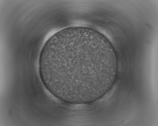 X0000113551471200910161423
