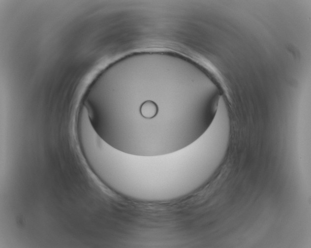 X0000113551472200910161423