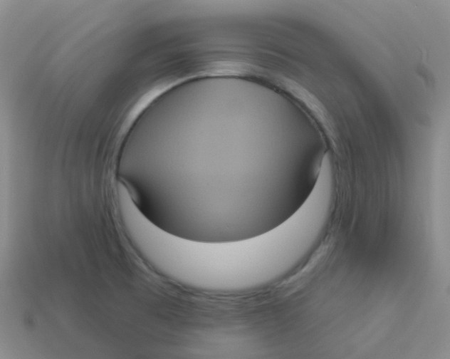 X0000113551473200910161423