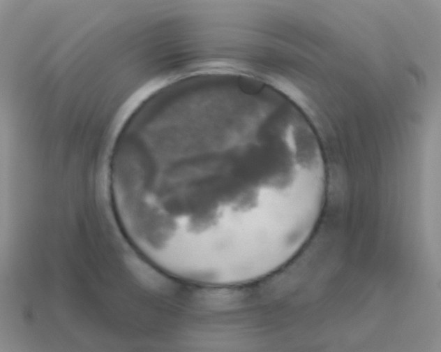 X0000113551474200910161423